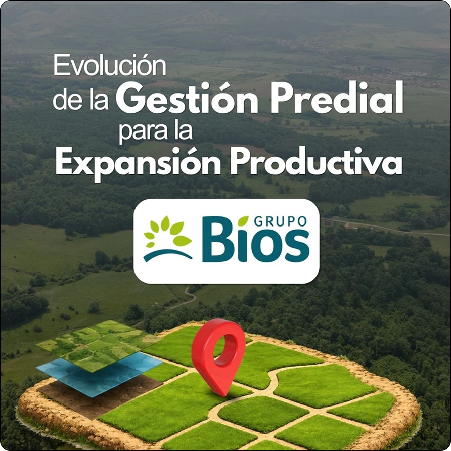 Imagen que representa el proyecto con el Grupo Bios