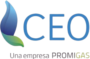 Logo12